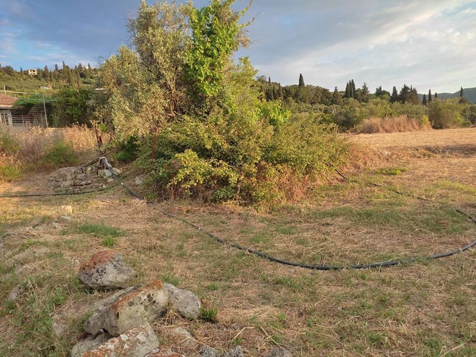 Land in Bochali, Ionië Nisia 10087717