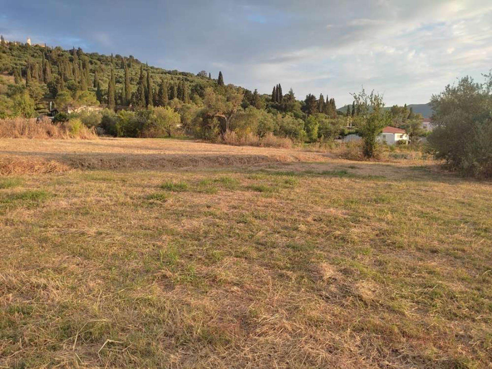 Land in Bochali, Ionia Nisia 10087717