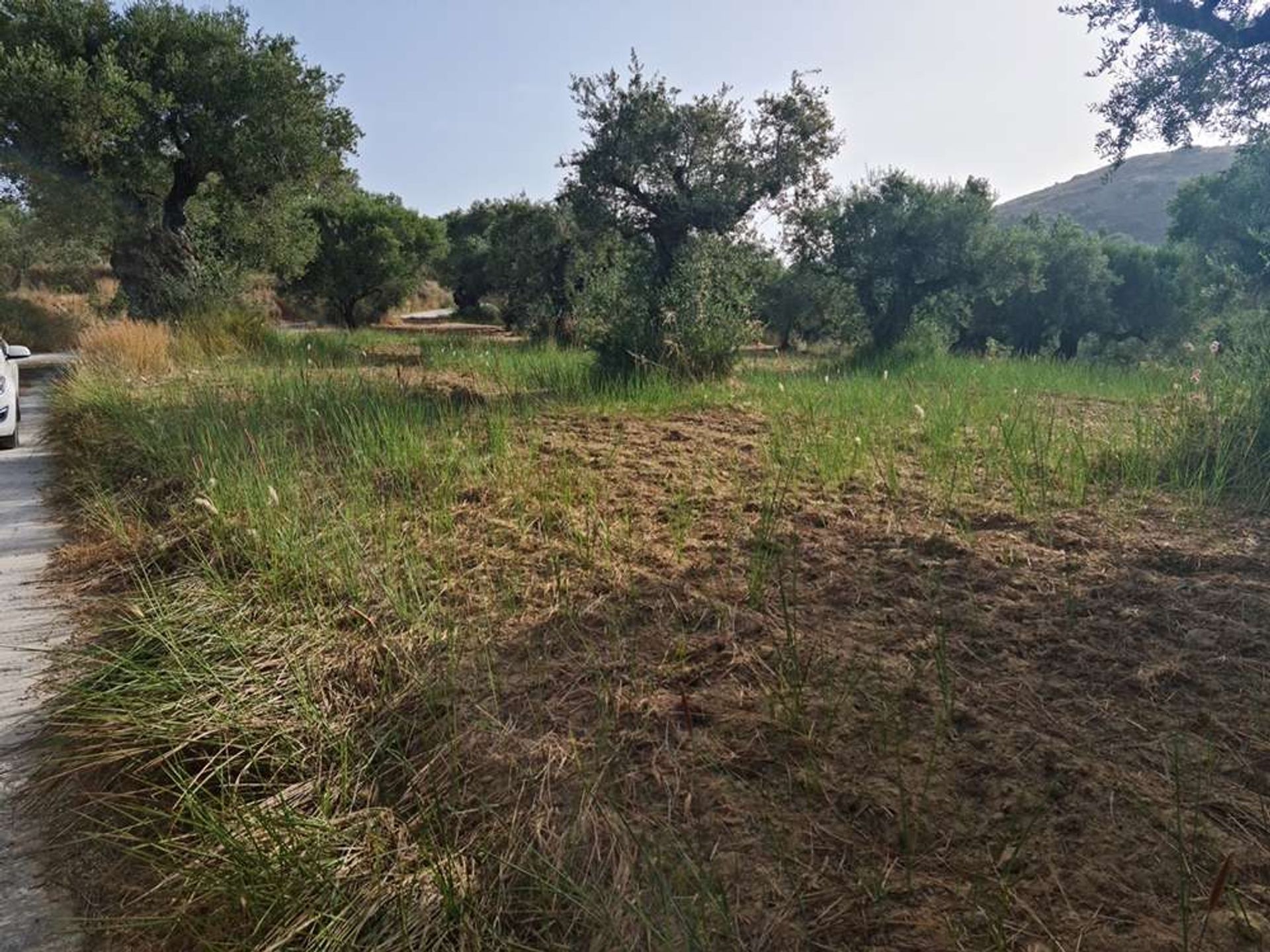 Земля в Zakynthos, Zakinthos 10087718