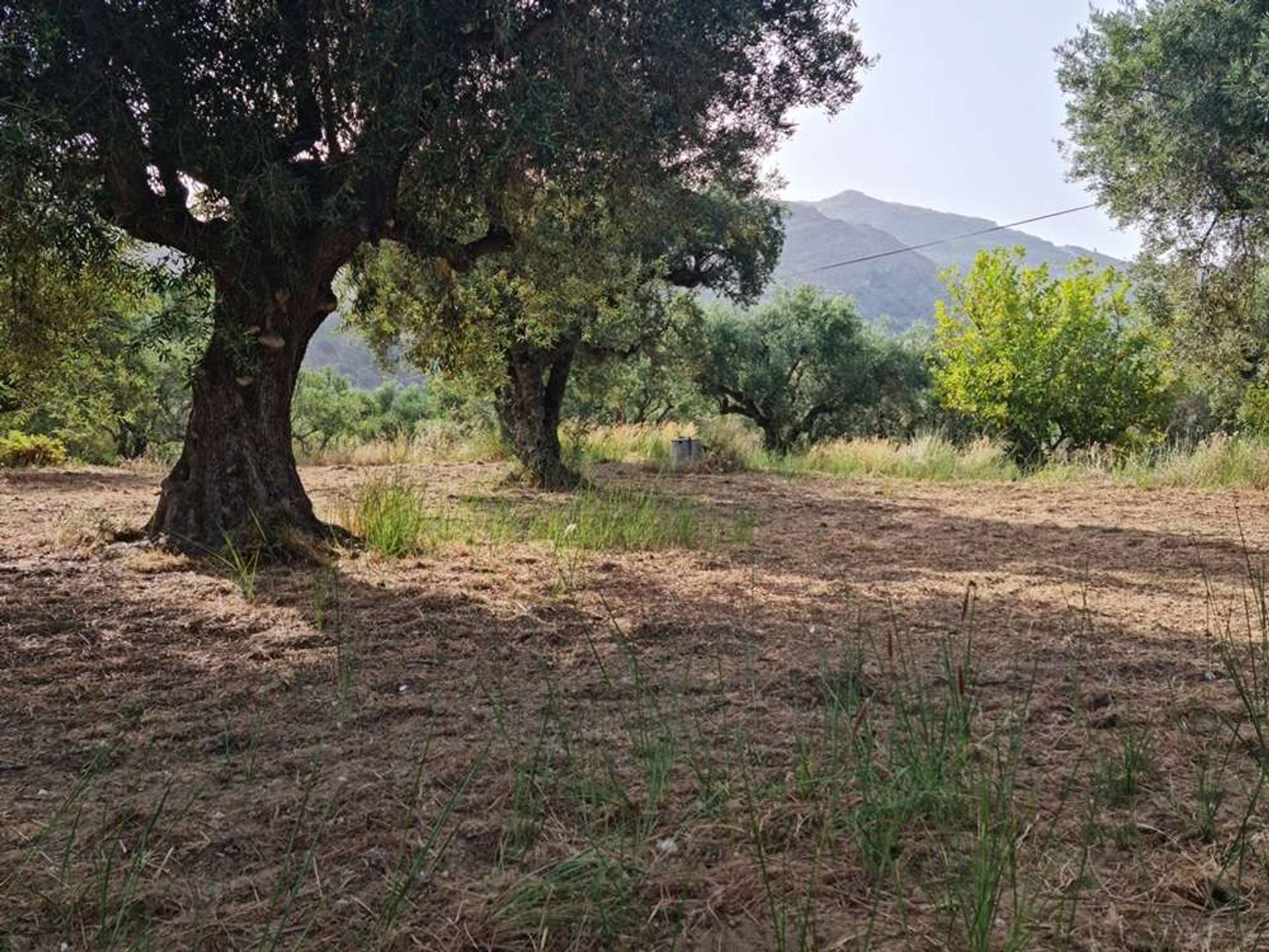 ארץ ב Zakynthos, Zakinthos 10087718