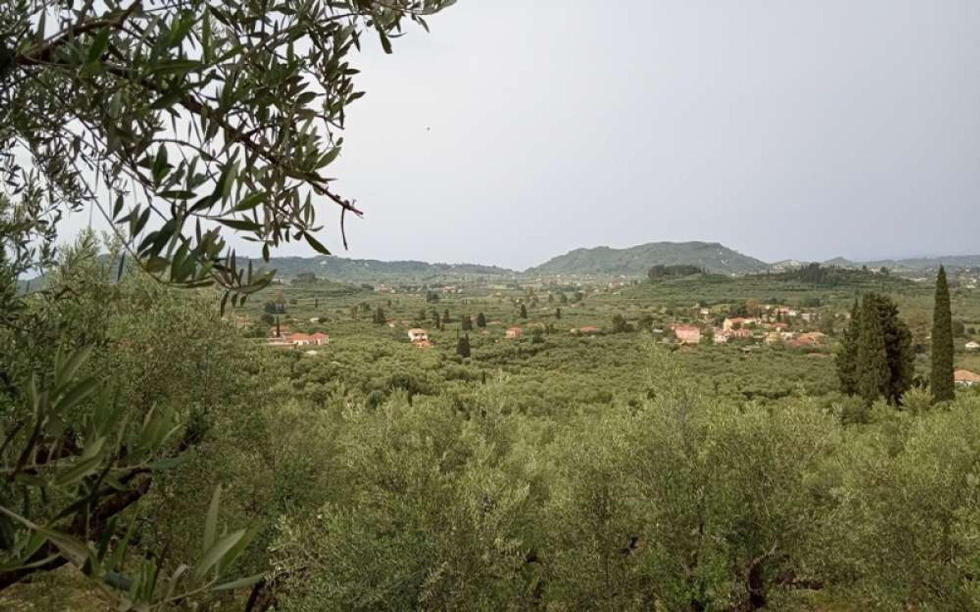 भूमि में Zakynthos, Zakinthos 10087719