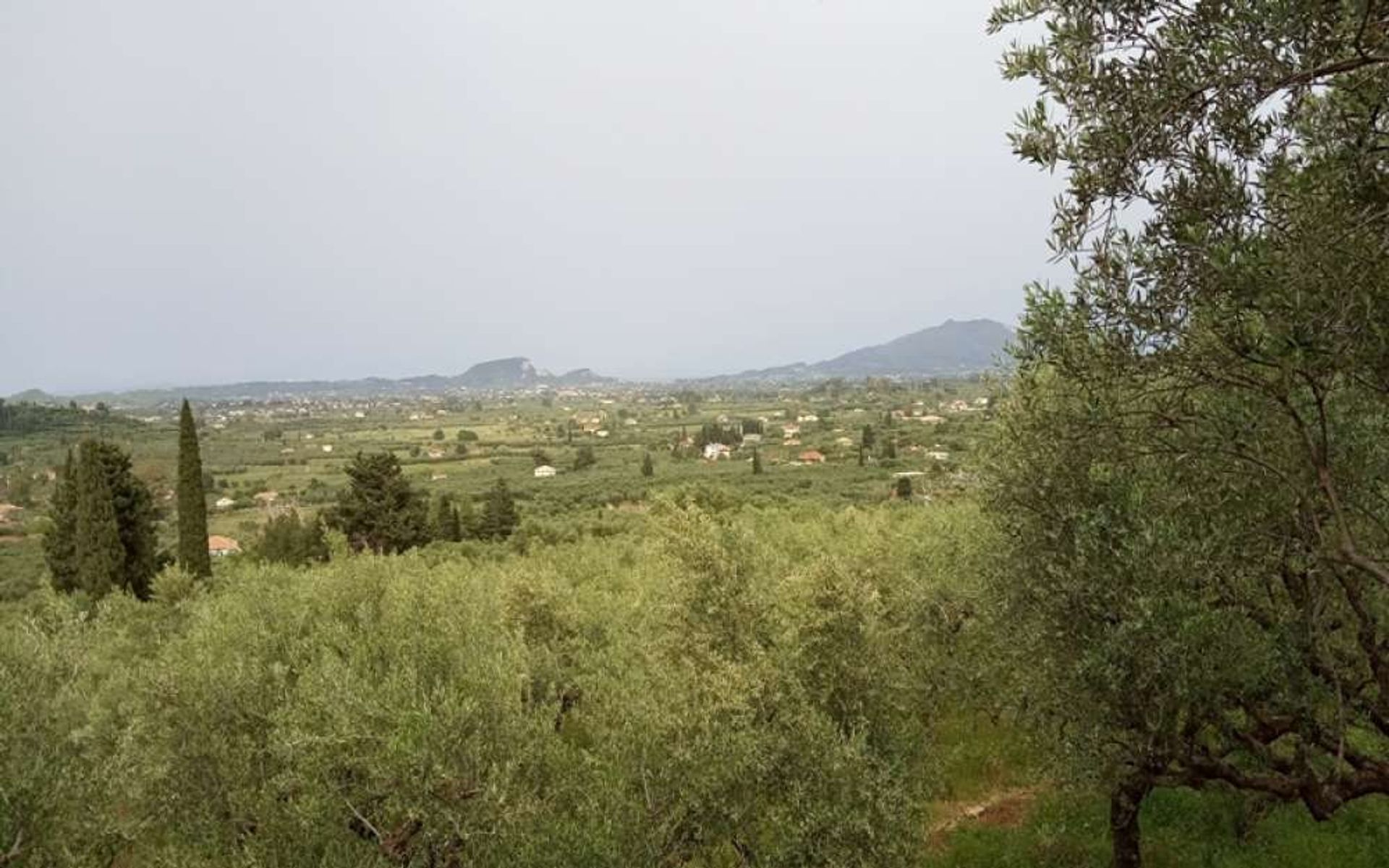 Tierra en Zakynthos, Zakinthos 10087719