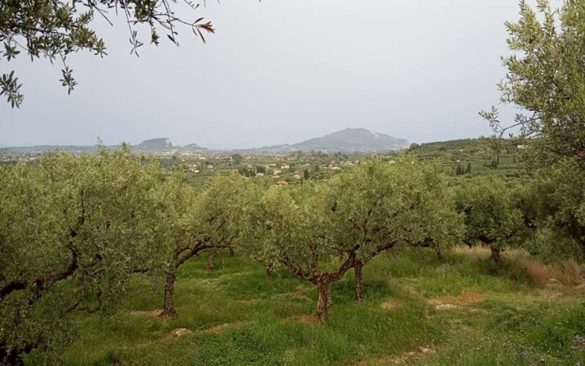 Tierra en Zakynthos, Zakinthos 10087719