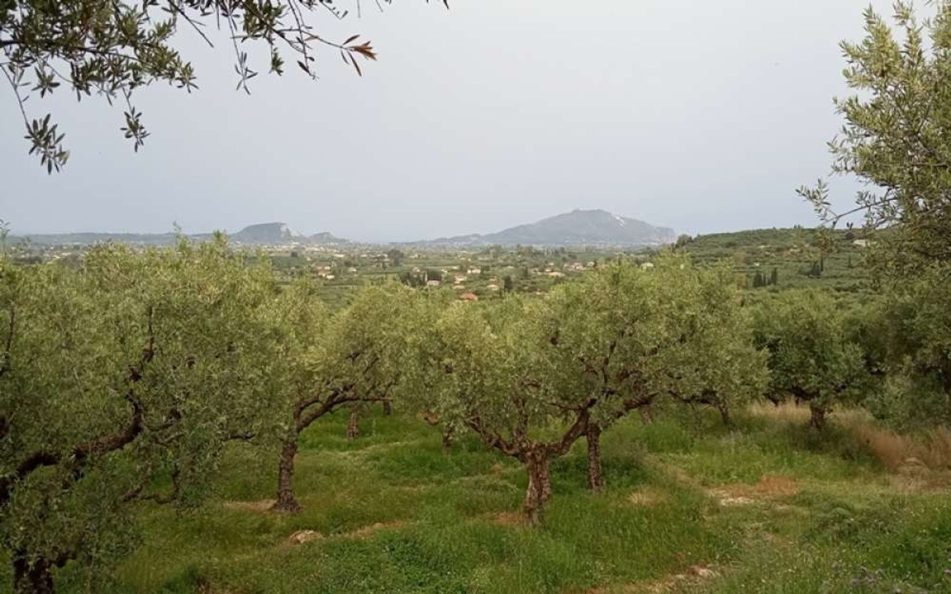 Tierra en Zakynthos, Zakinthos 10087719