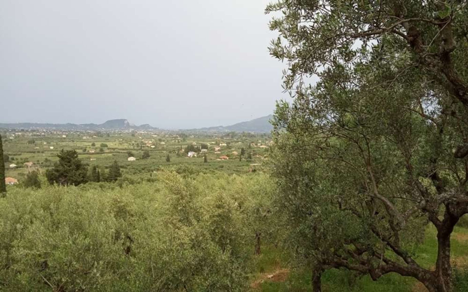 Tierra en Zakynthos, Zakinthos 10087719