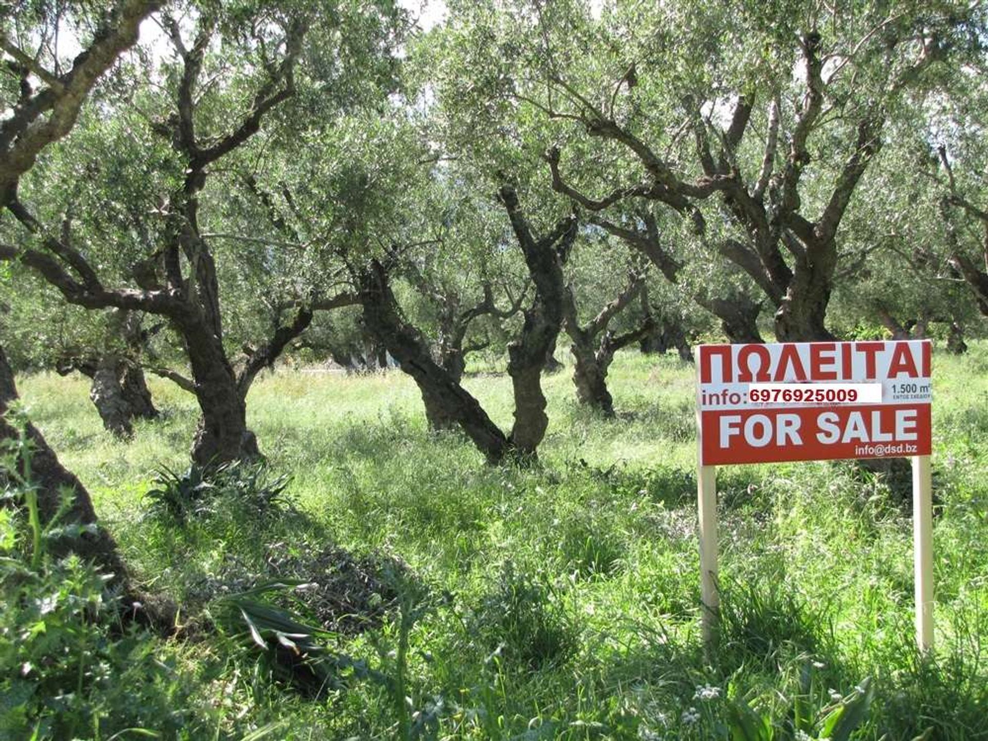 Land in Bochali, Ionia Nisia 10087725