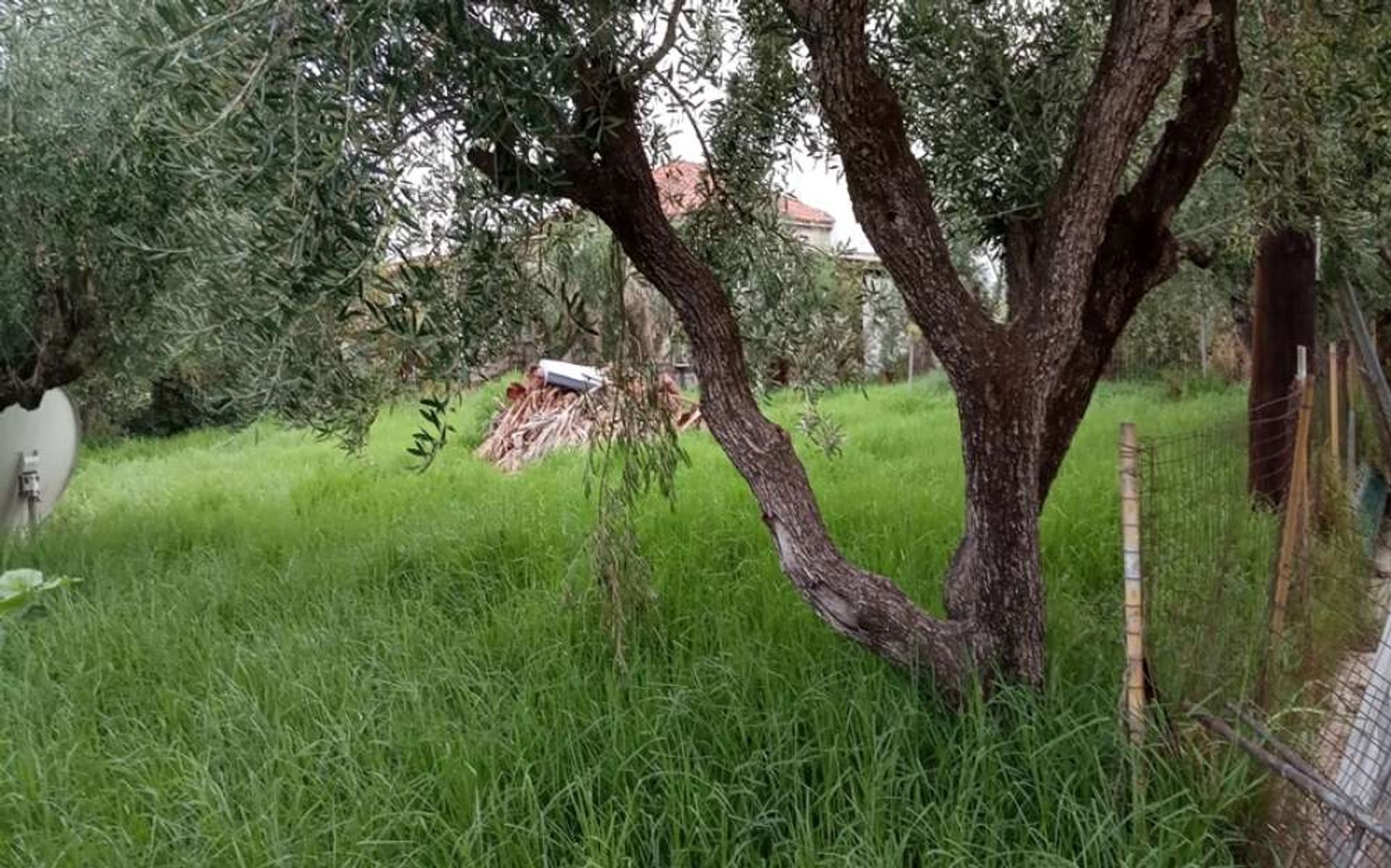 ארץ ב Zakynthos, Zakinthos 10087727