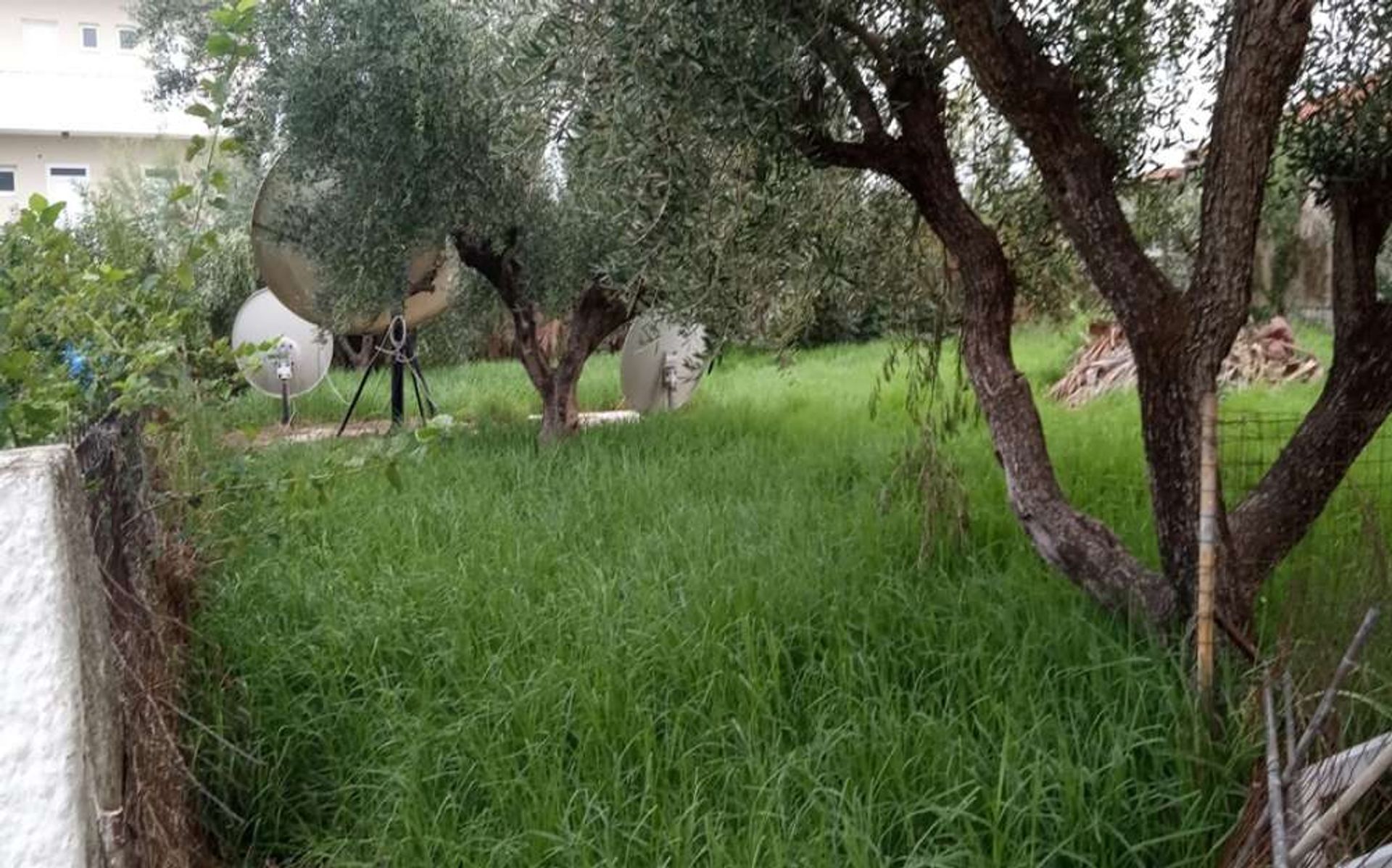 Land i Zakynthos, Zakinthos 10087727