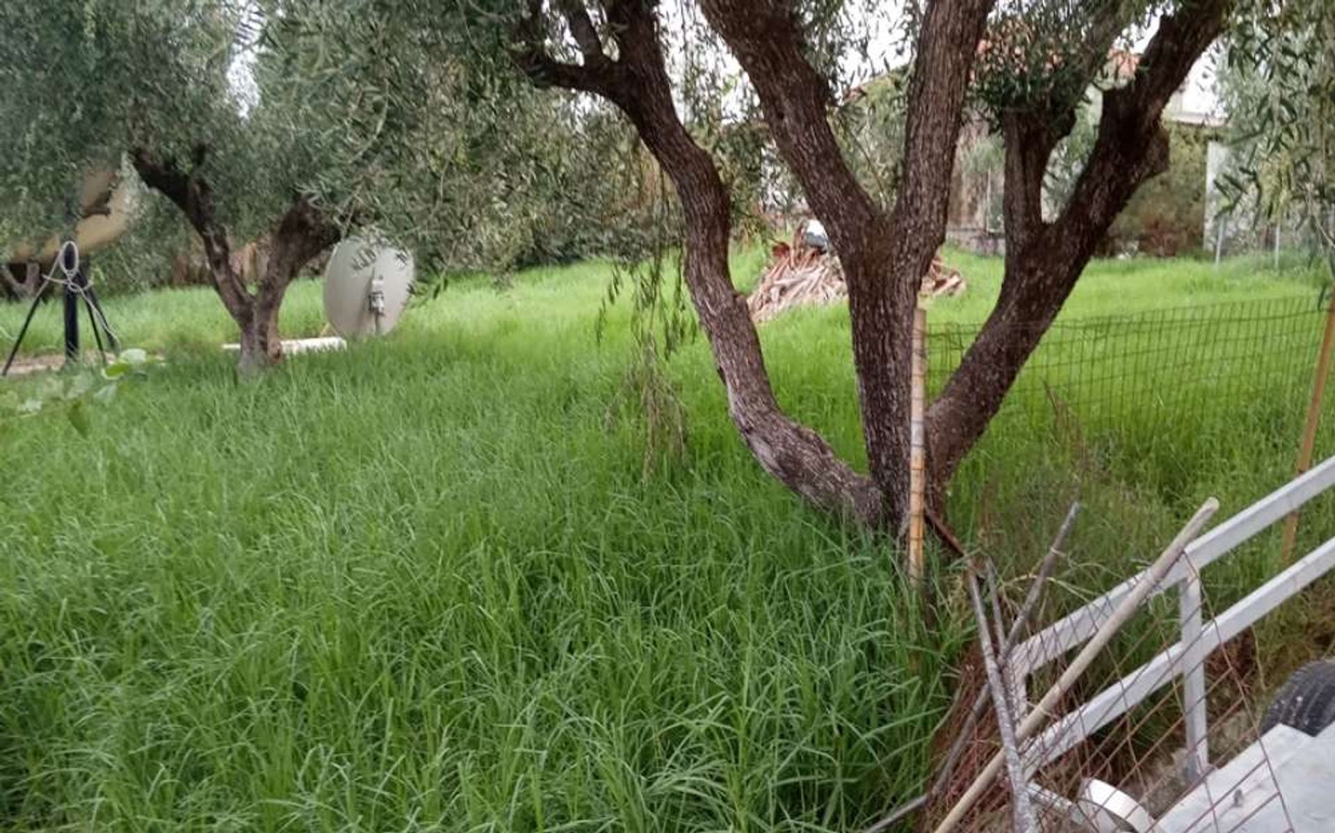 ארץ ב Zakynthos, Zakinthos 10087727