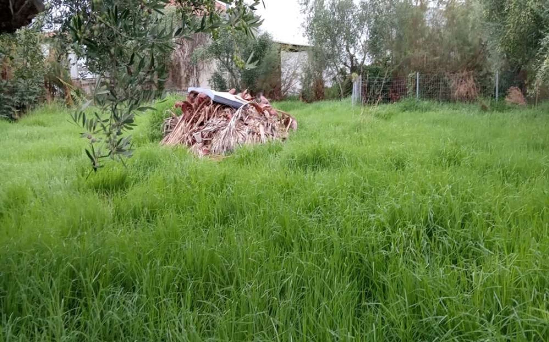 Land i Zakynthos, Zakinthos 10087727