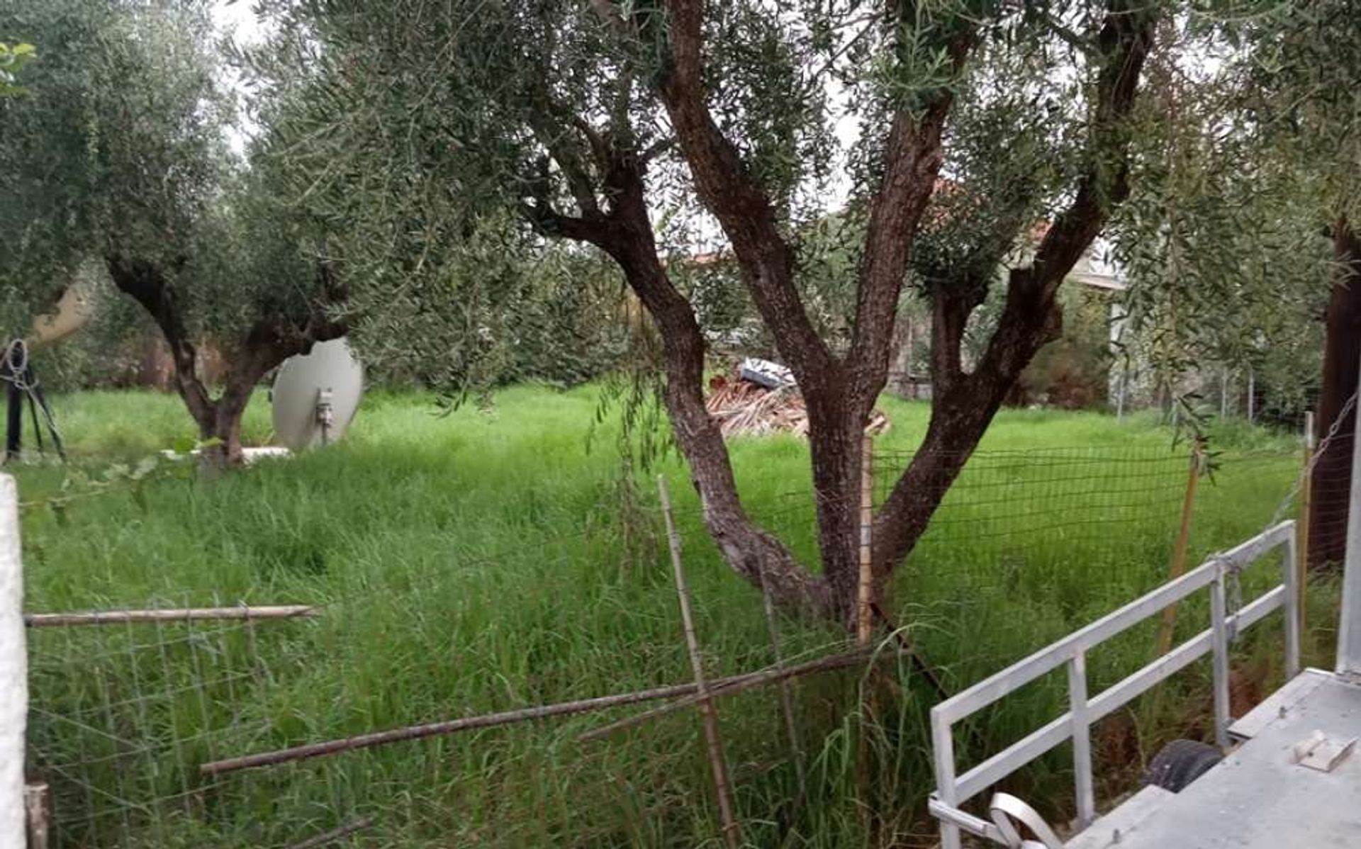 ארץ ב Zakynthos, Zakinthos 10087727