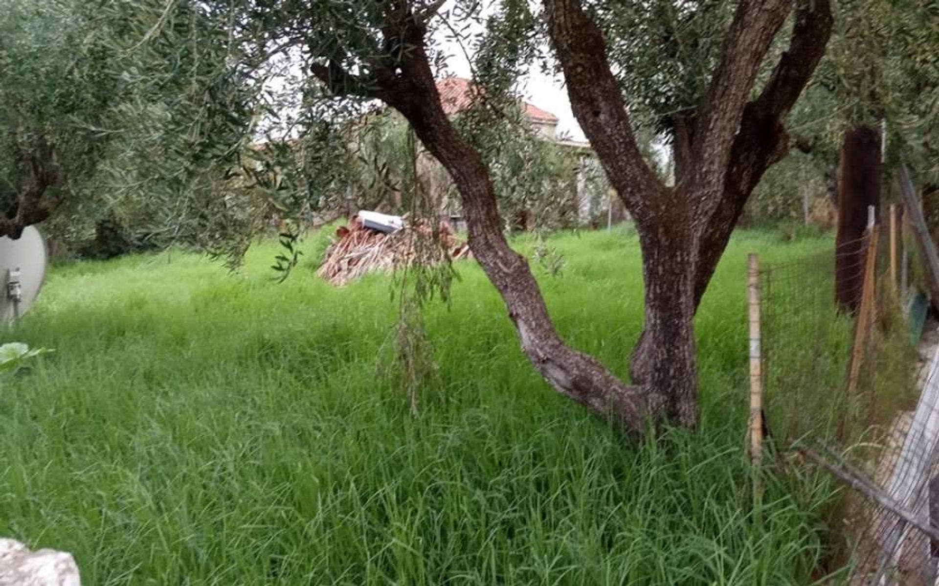 Land i Zakynthos, Zakinthos 10087727