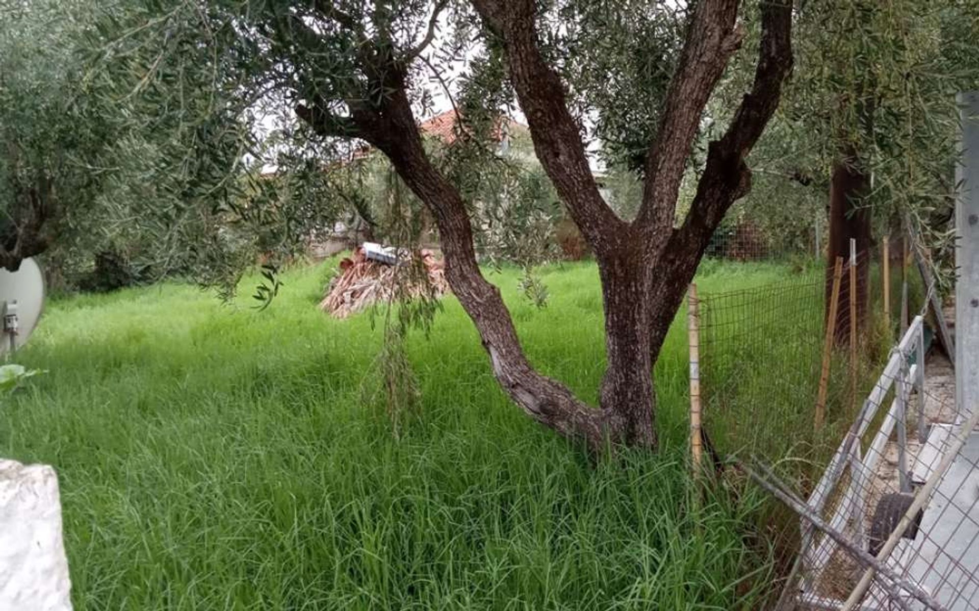 Land i Zakynthos, Zakinthos 10087727