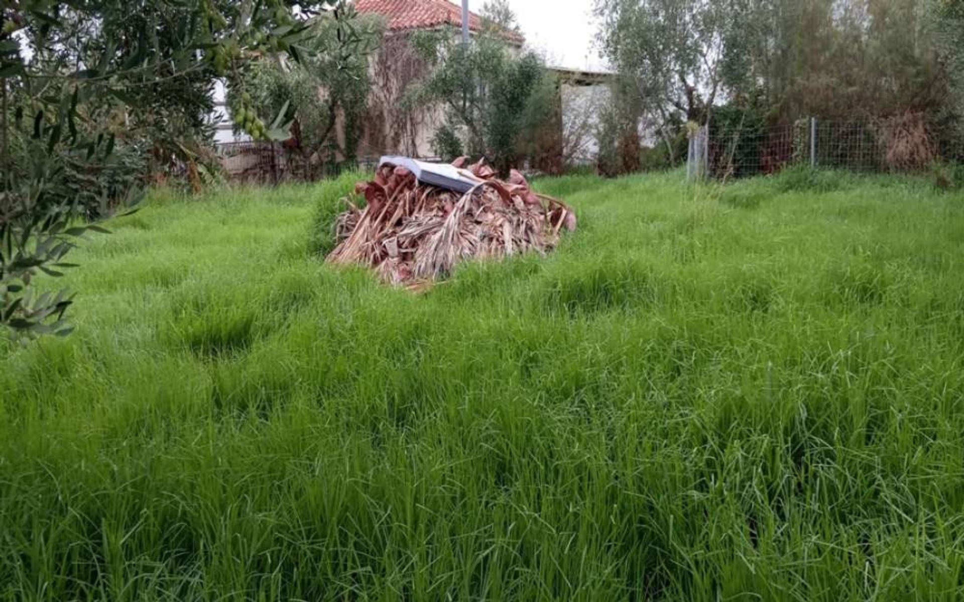 Tanah di Zakynthos, Zakinthos 10087727