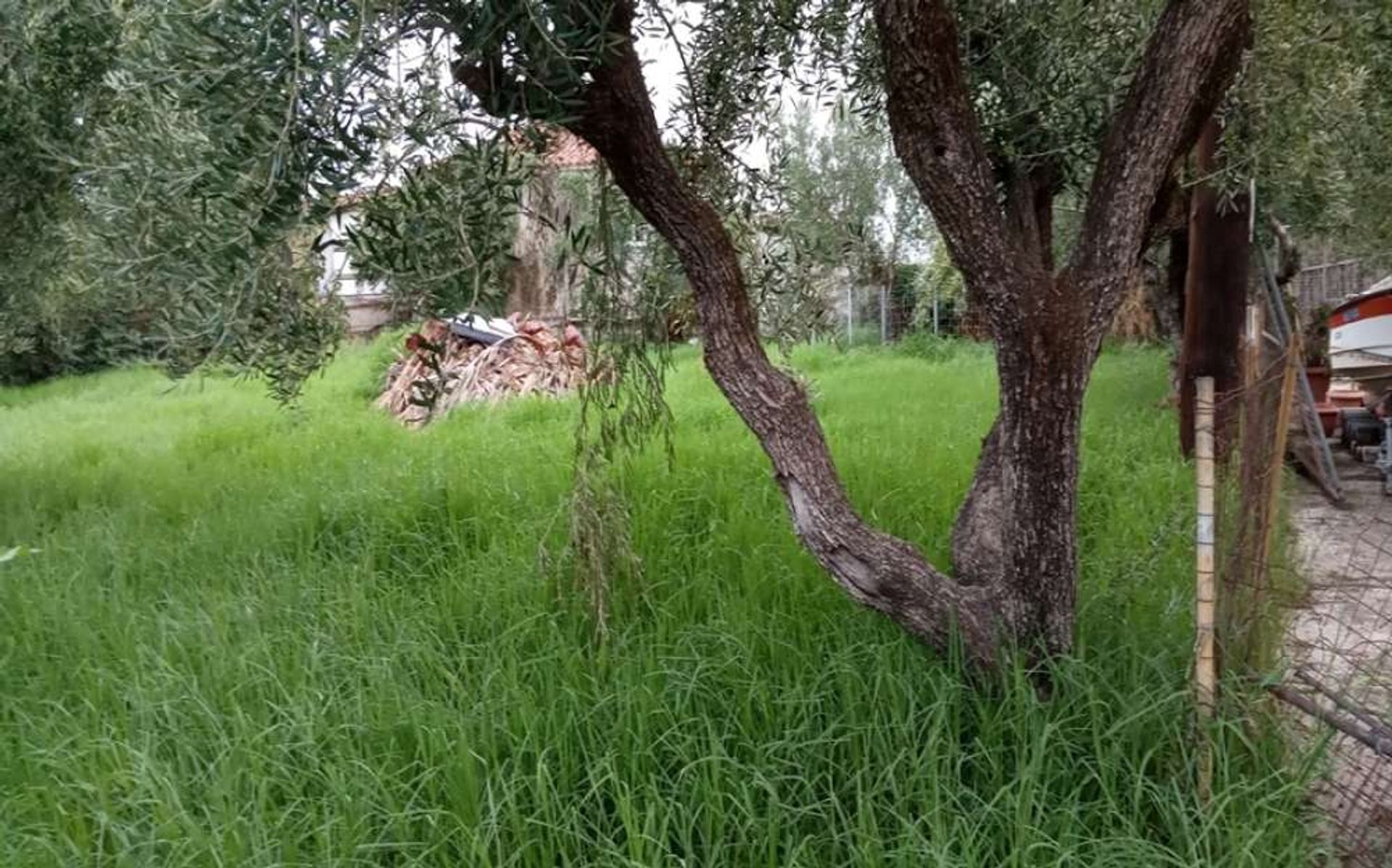 Γη σε Zakynthos, Zakinthos 10087727