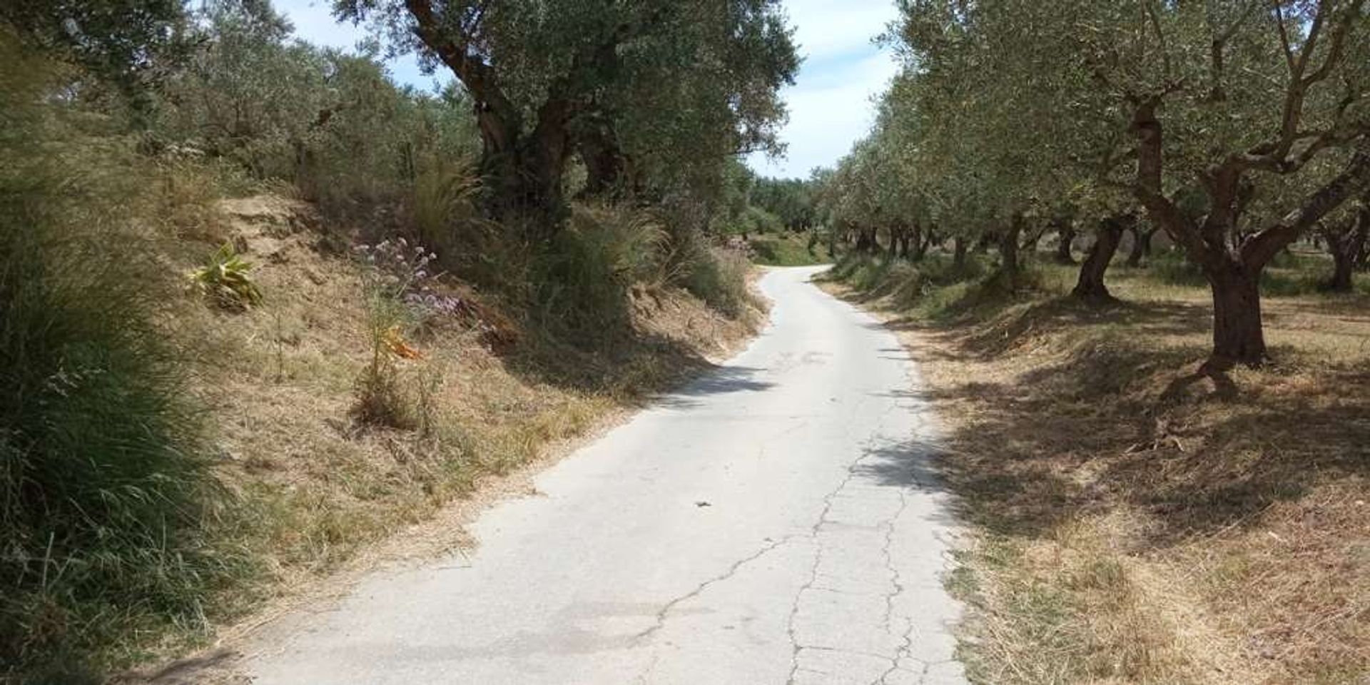 Maa sisään Romiri, Zakinthos 10087729