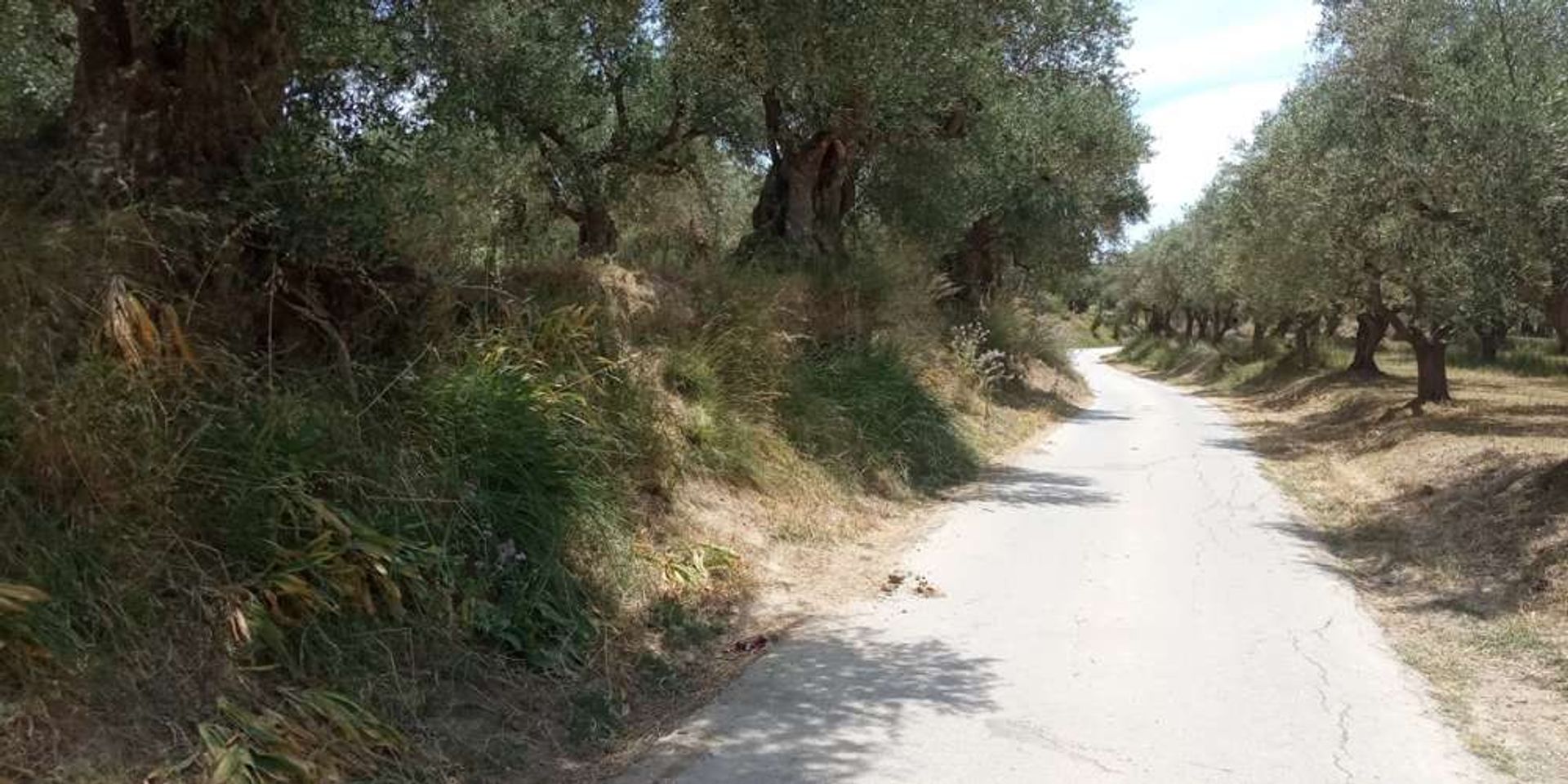 Tanah di Romiri, Zakinthos 10087729