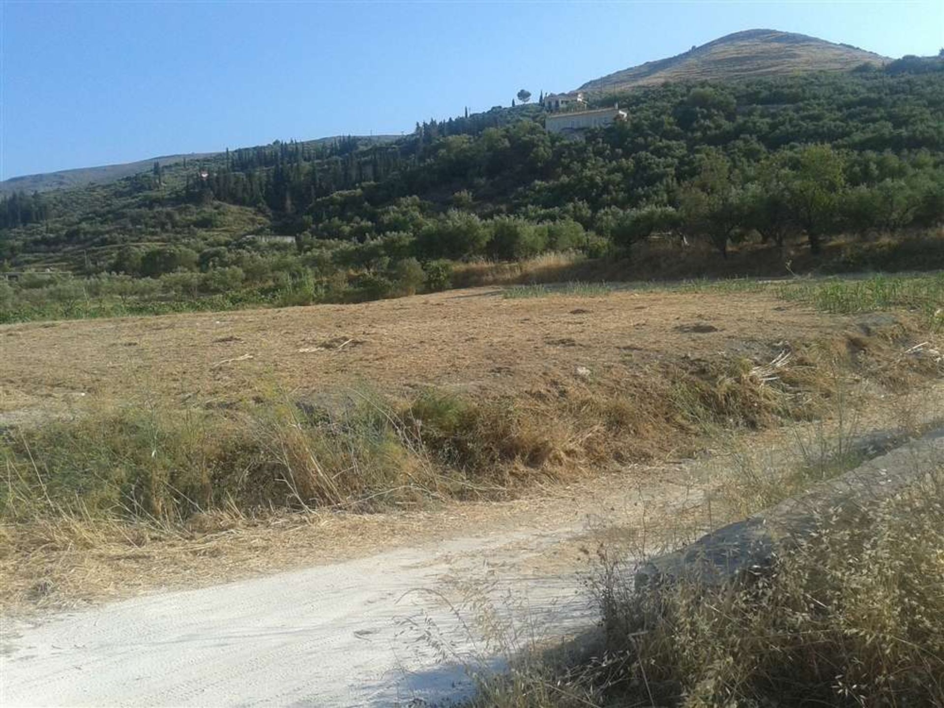 Tanah di Lagopodo, Zakinthos 10087732