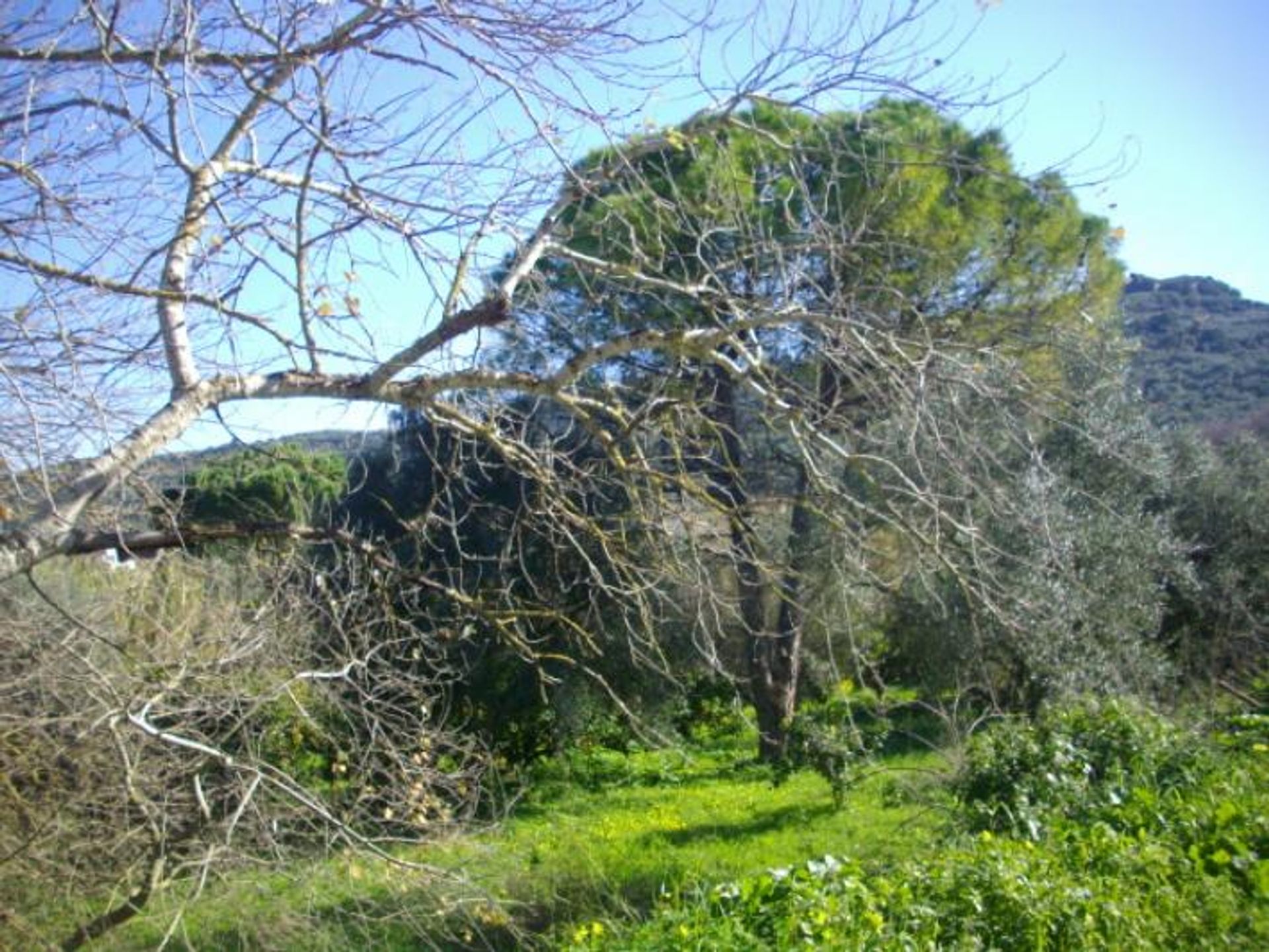 土地 在 Zakynthos, Zakinthos 10087734