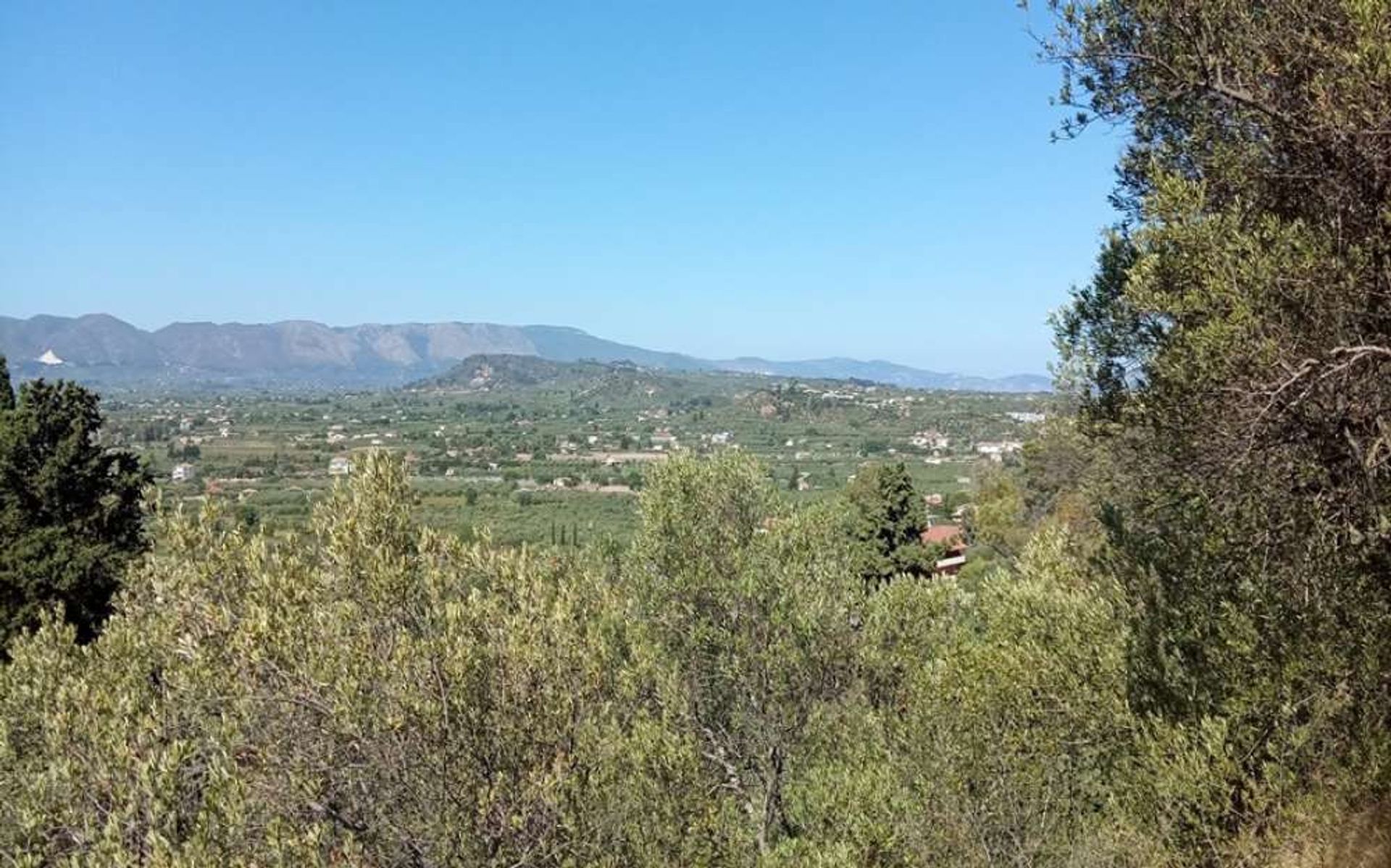 Terre dans Zakynthos, Zakinthos 10087742