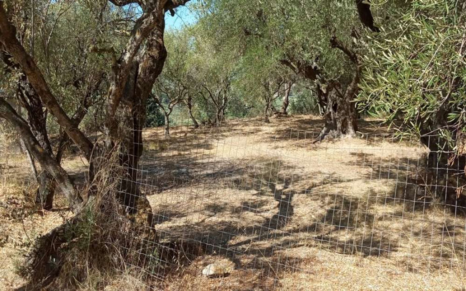 الأرض في Zakynthos, Zakinthos 10087742