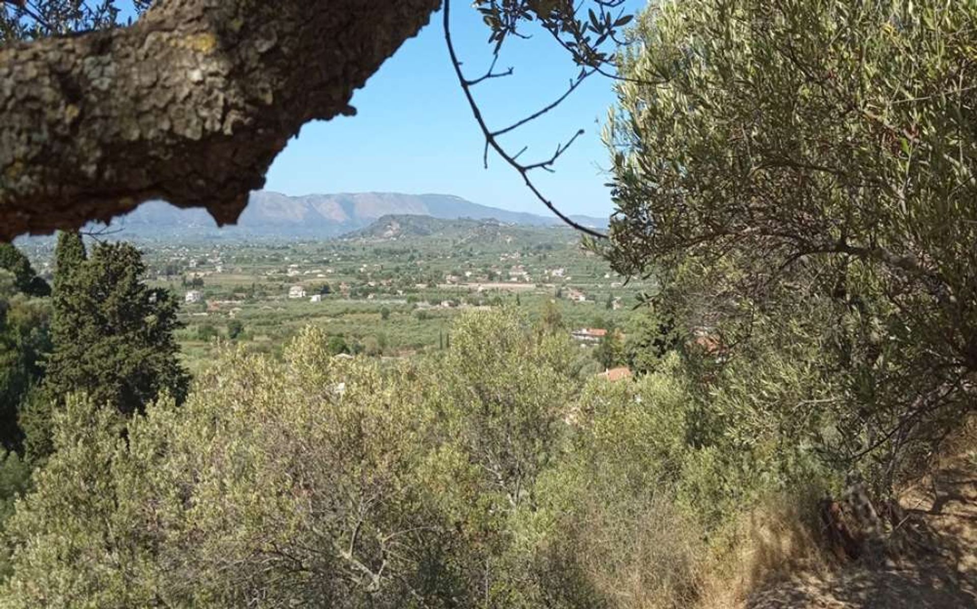 Terre dans Zakynthos, Zakinthos 10087742