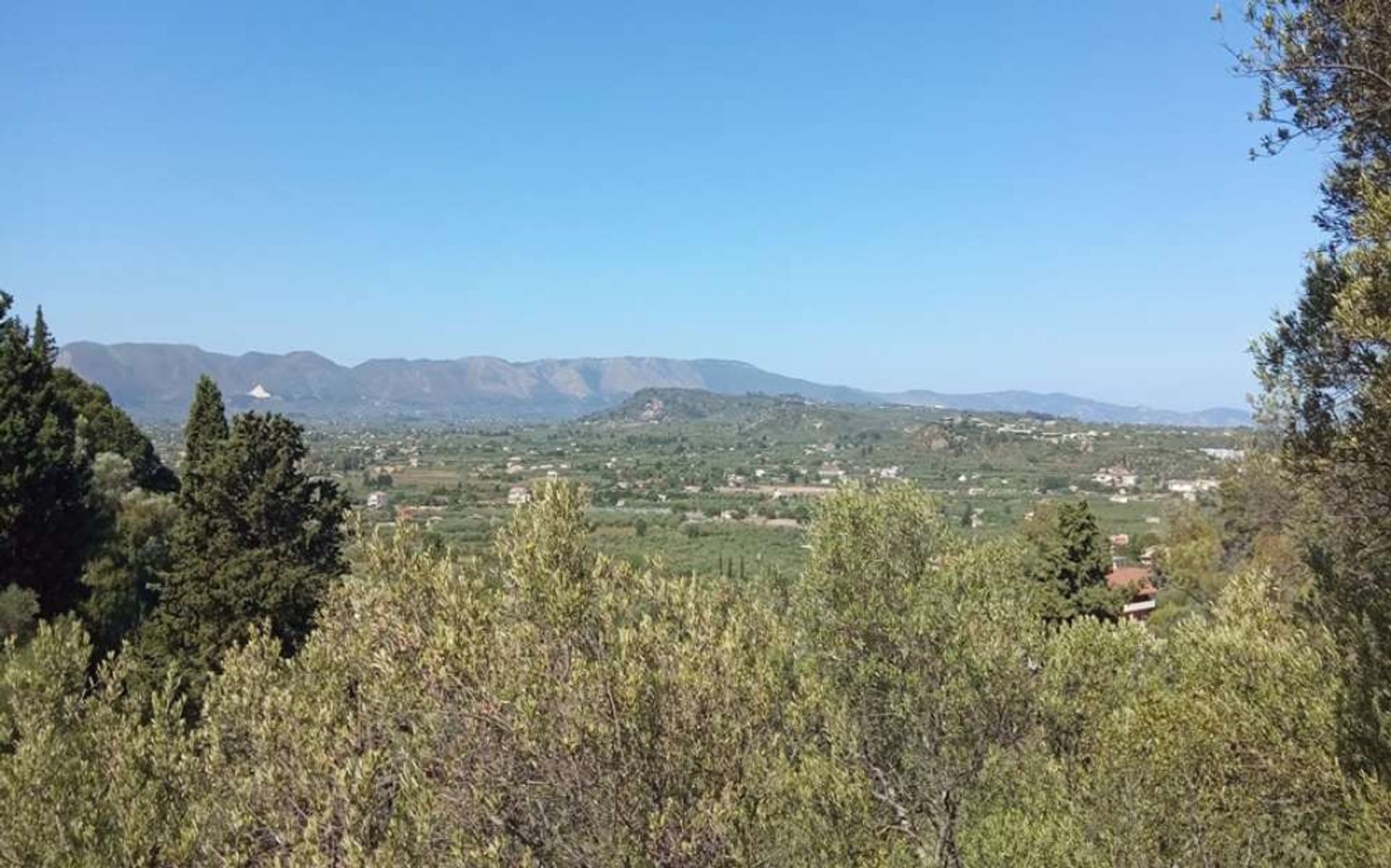 Land im Zakynthos, Zakinthos 10087742