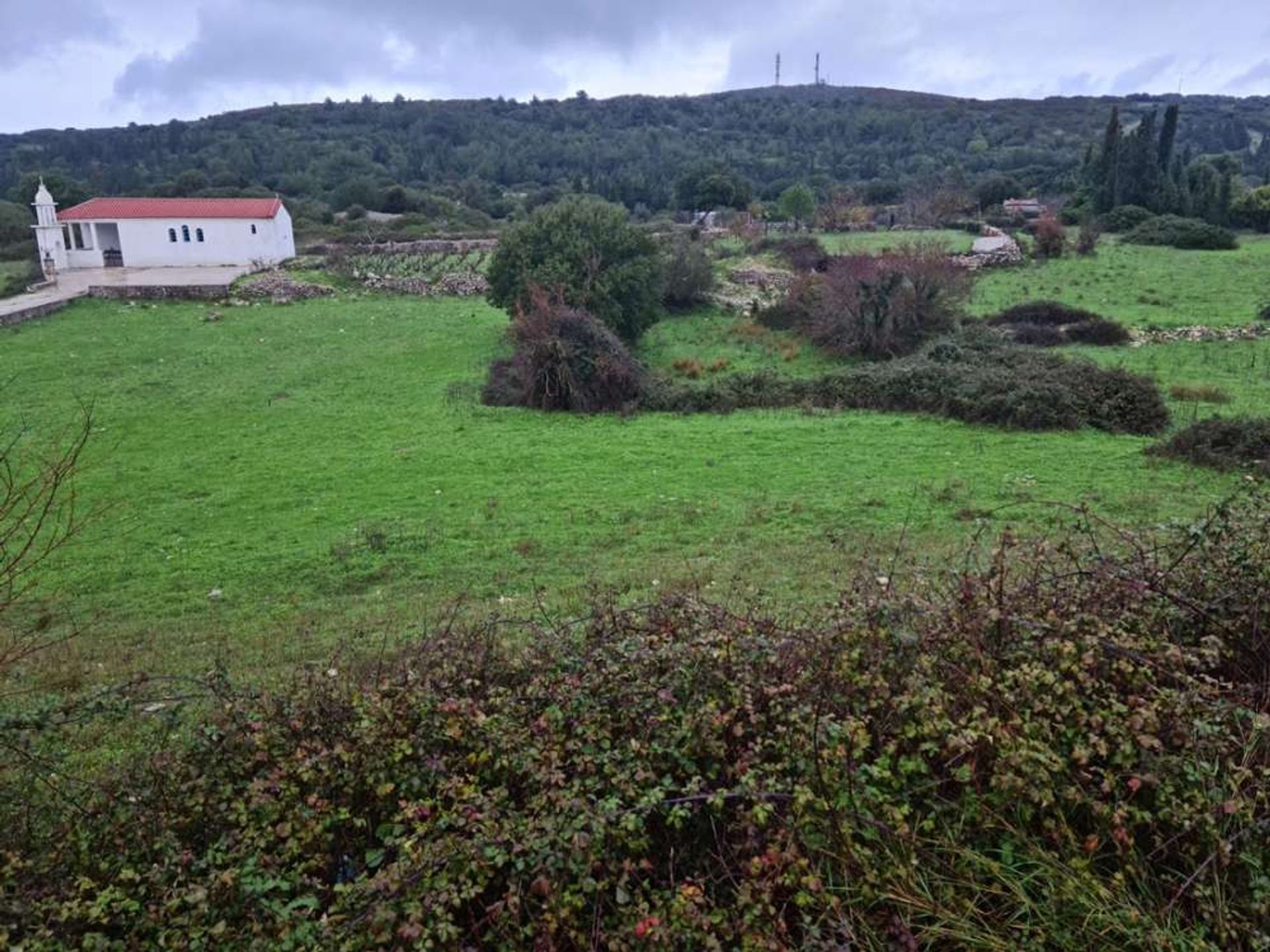 Tierra en Zakynthos, Zakinthos 10087744