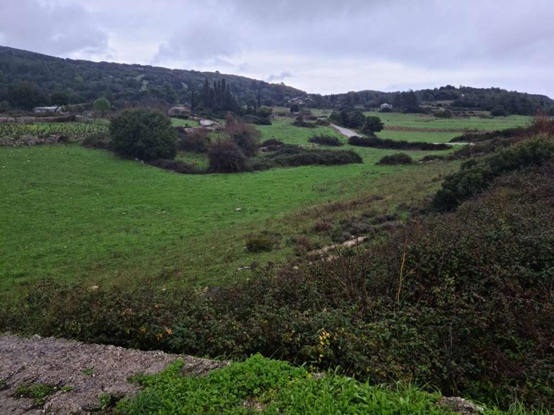 Tierra en Zakynthos, Zakinthos 10087744