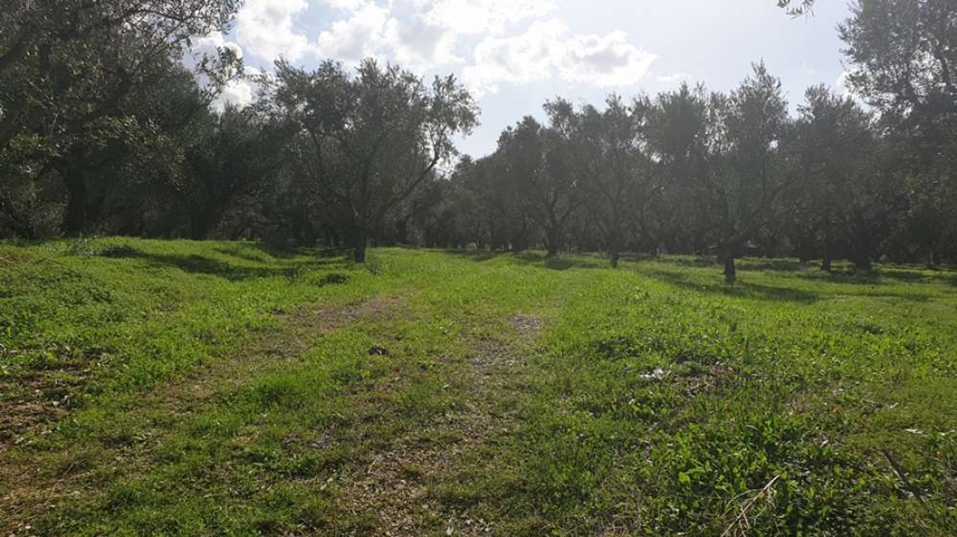 Land in Bochali, Ionië Nisia 10087770