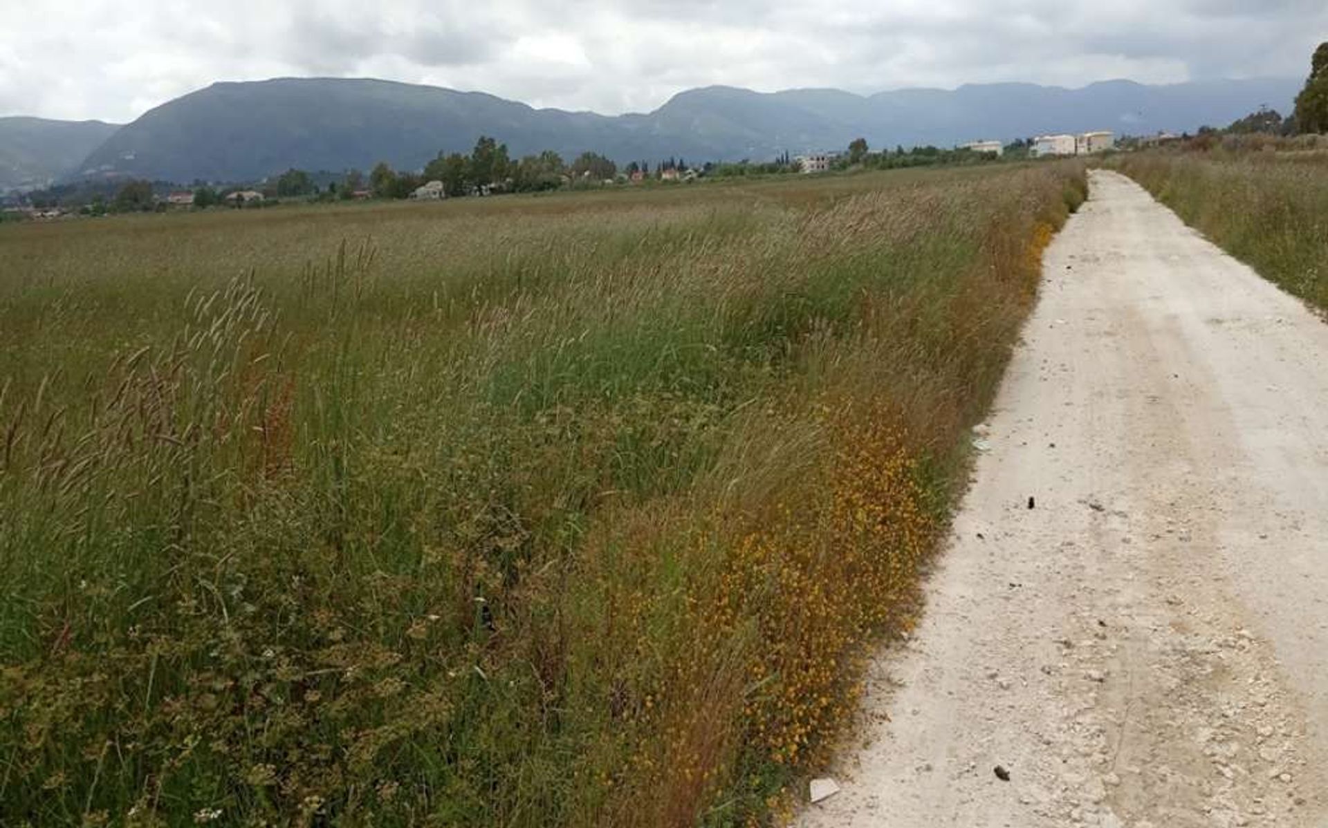 Γη σε Zakynthos, Zakinthos 10087774