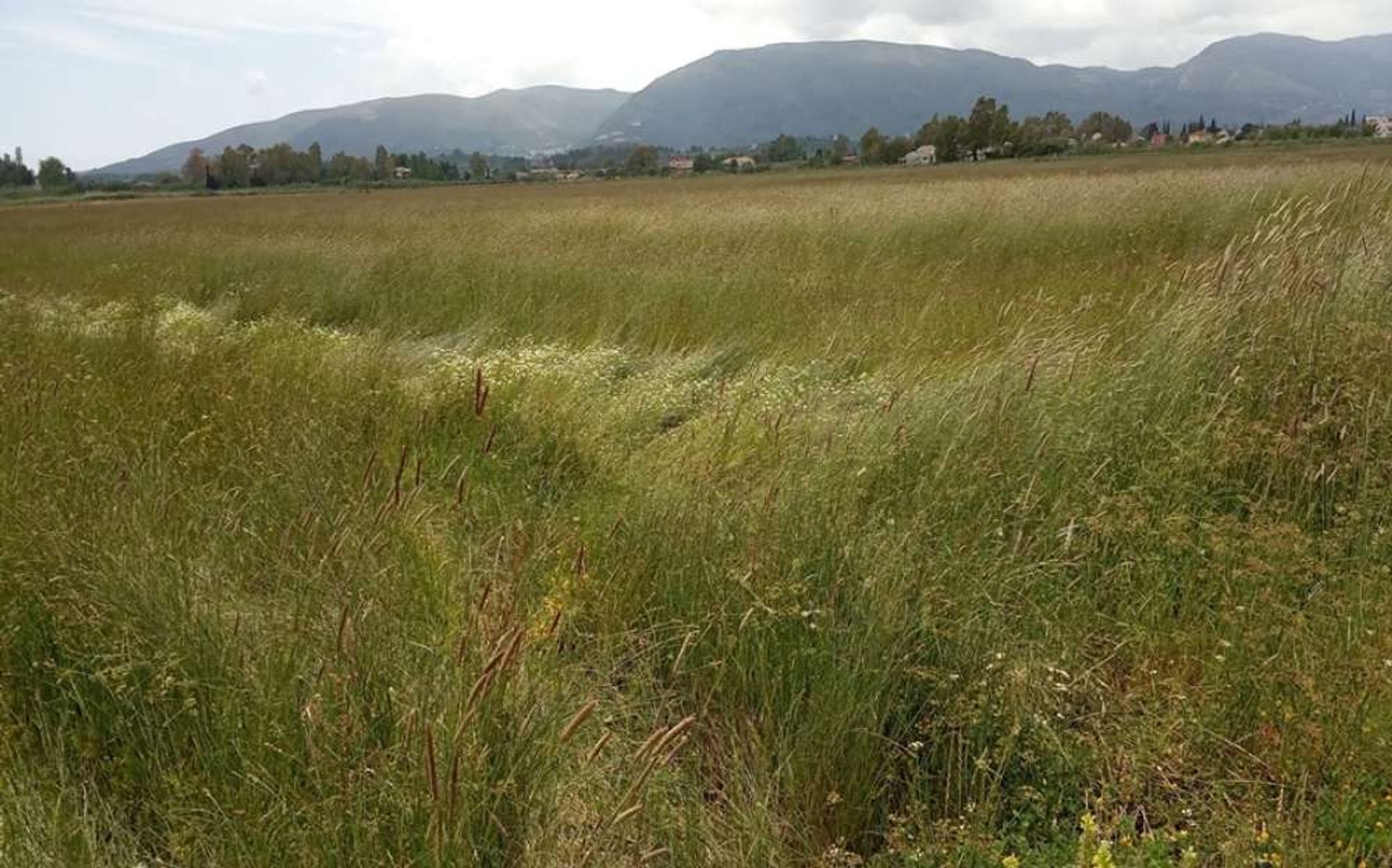 Land in Bochali, Ionia Nisia 10087774