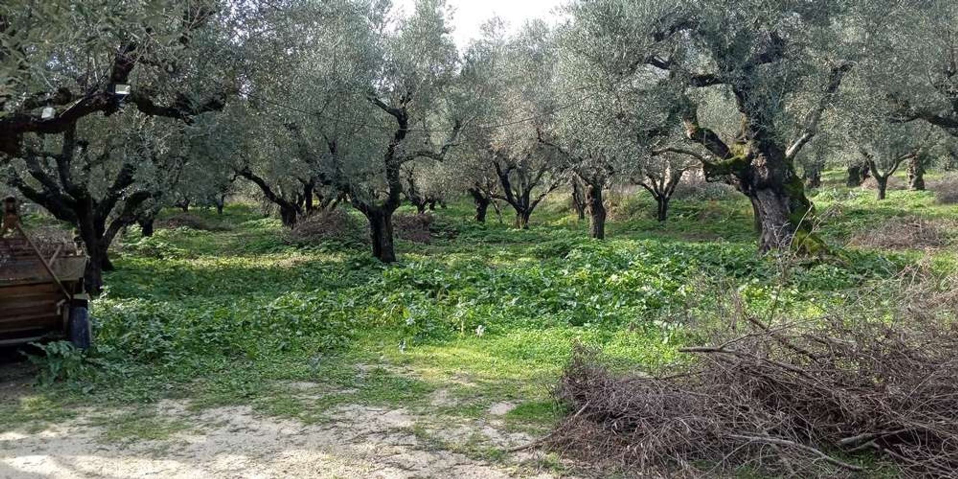 भूमि में Zakynthos, Zakinthos 10087775