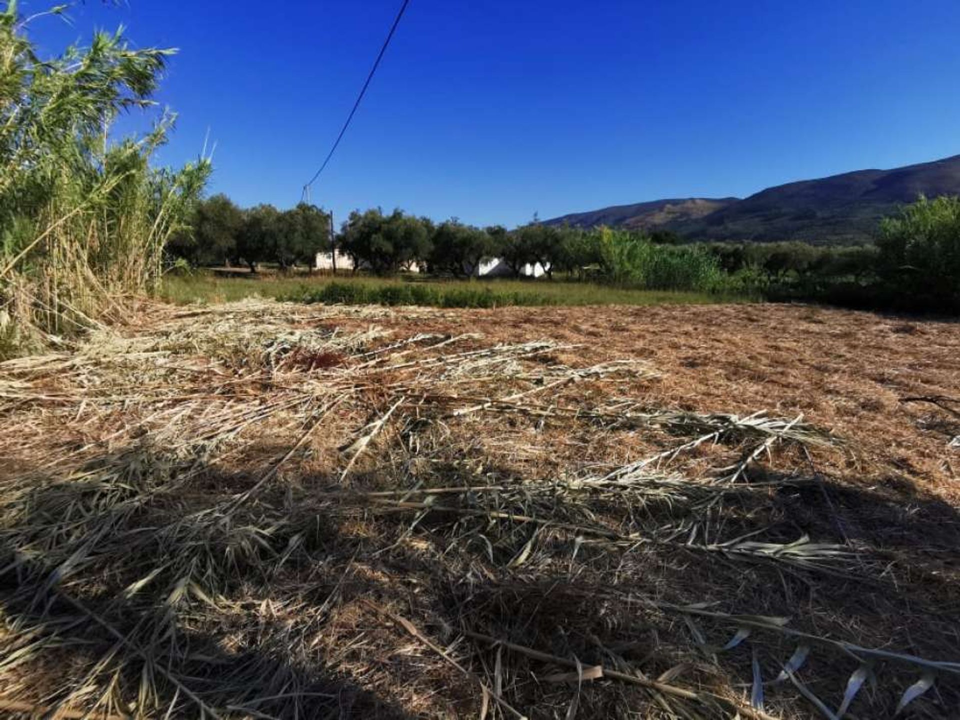 Land im Zakynthos, Zakinthos 10087776