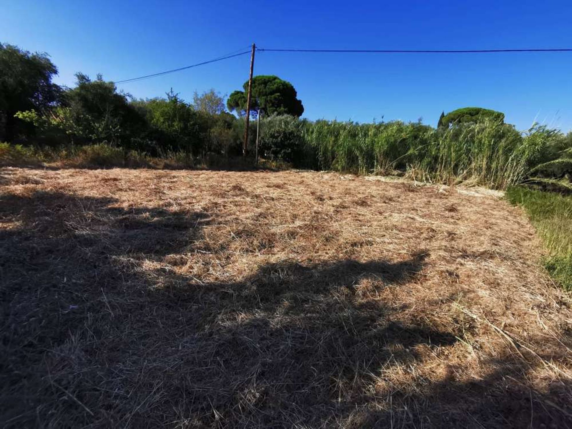 Land im Zakynthos, Zakinthos 10087776