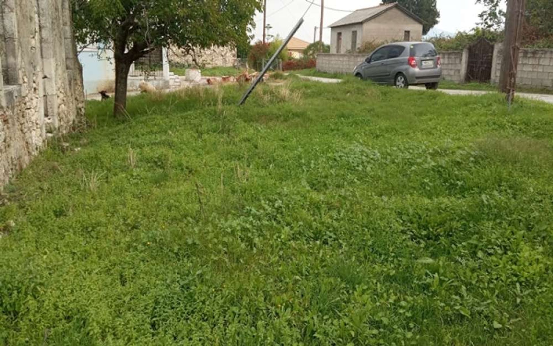 الأرض في Zakynthos, Zakinthos 10087778