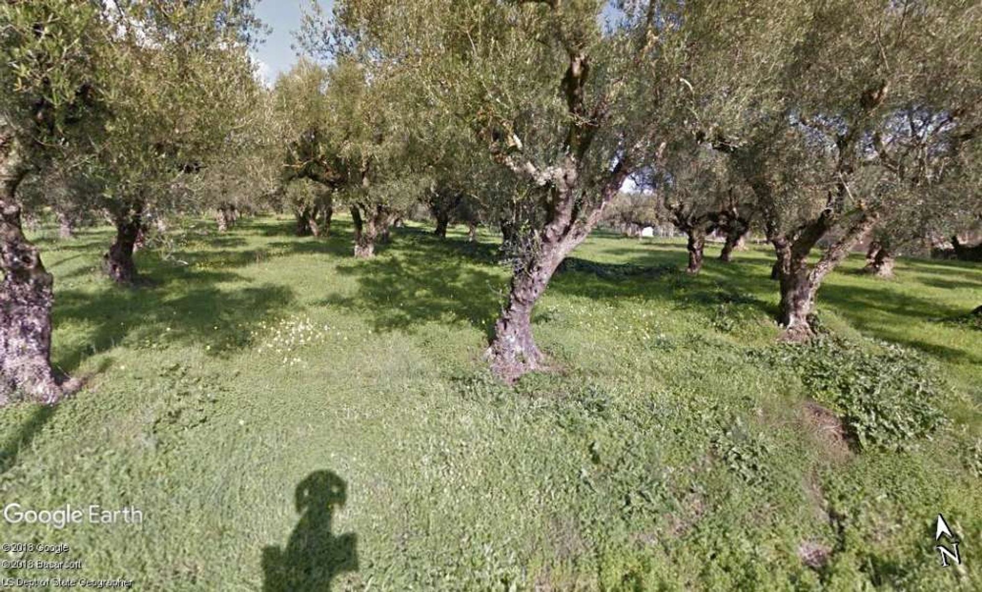 Land i Bochali, Ionia Nisia 10087779