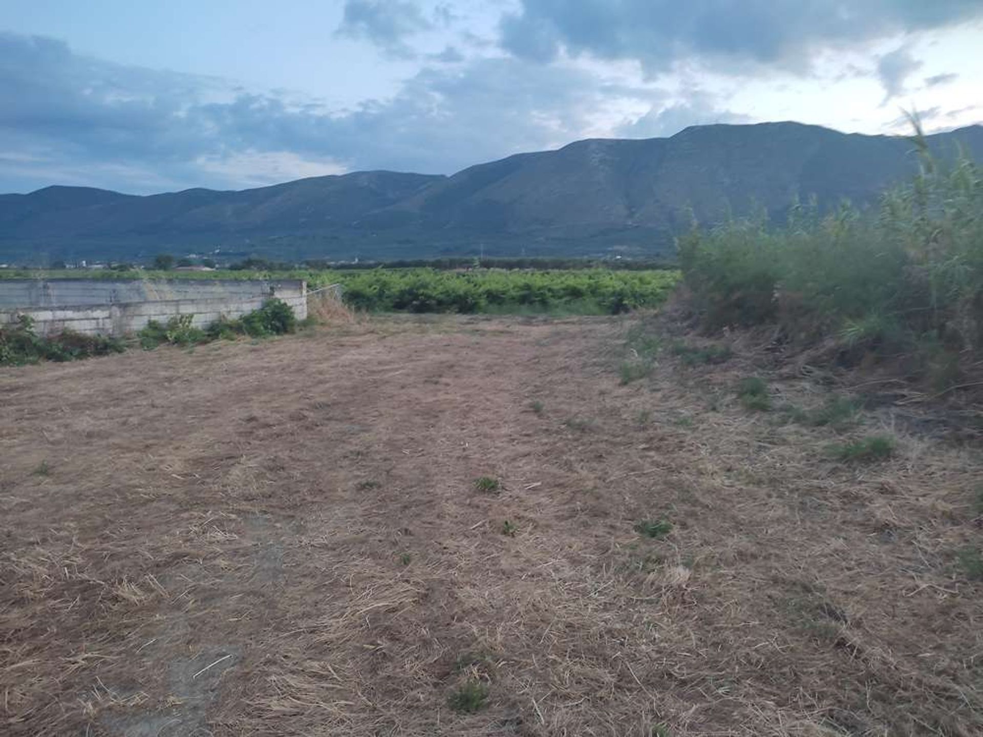 Land in Zakynthos, Zakinthos 10087781