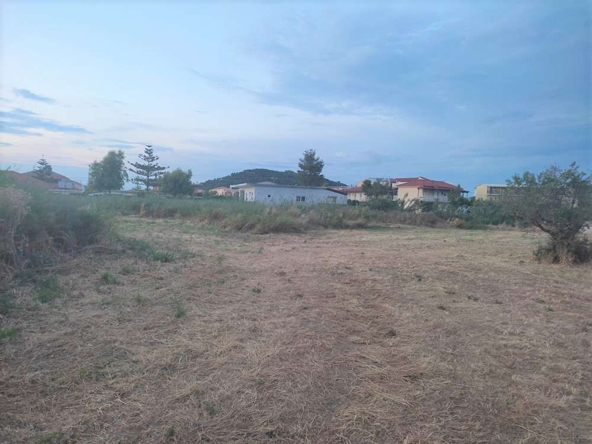 Land in Bochali, Ionia Nisia 10087781