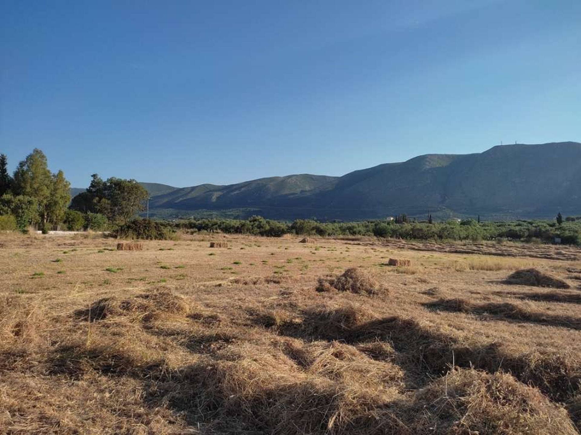 Land in Zakynthos, Zakinthos 10087782