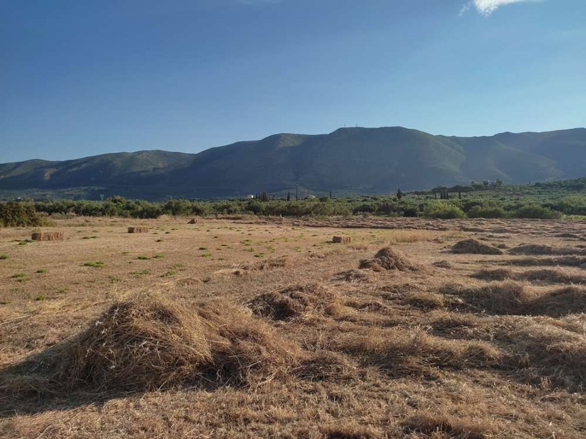 Tierra en bochalí, Jonia Nisia 10087782