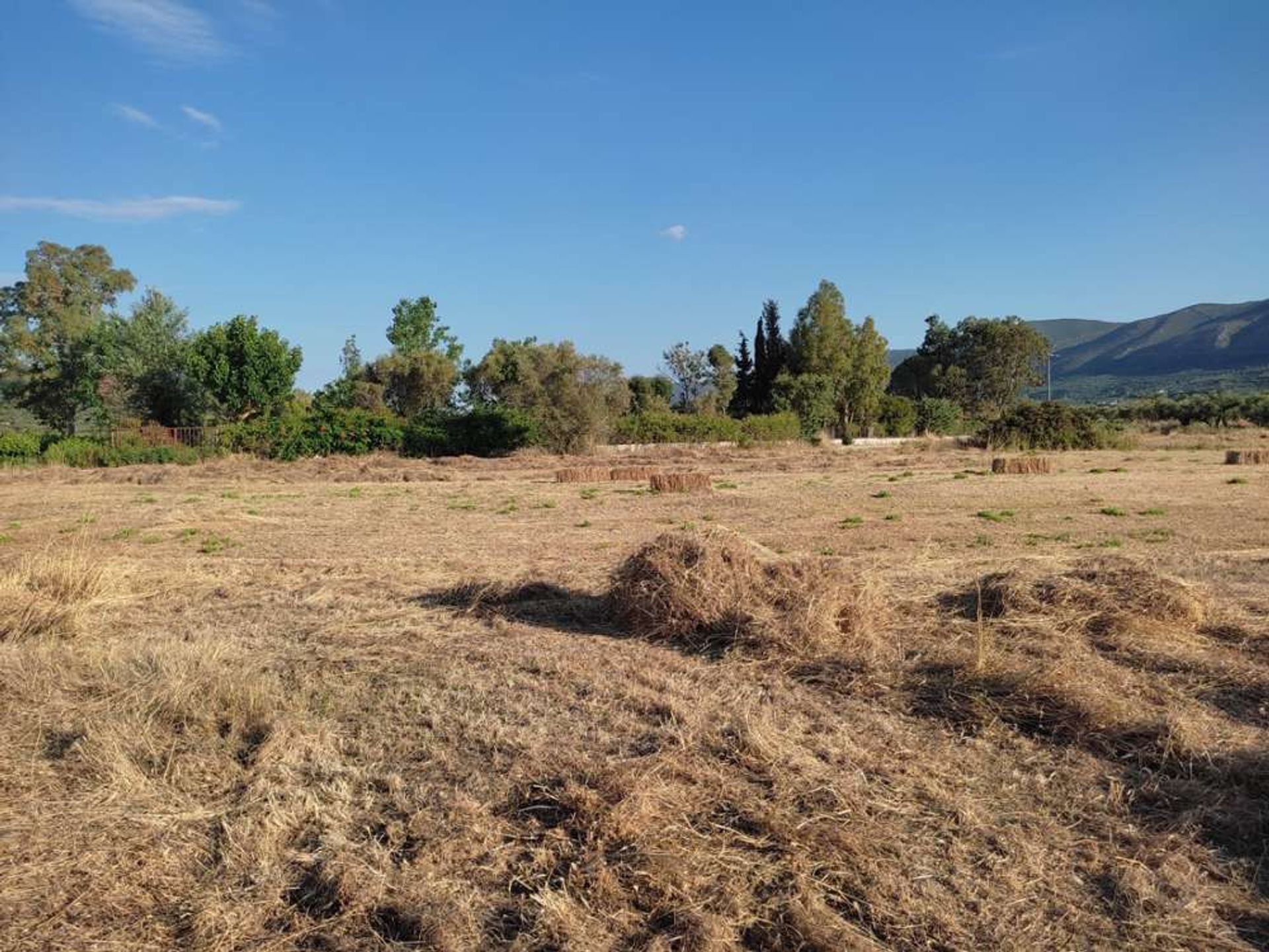 Land in Zakynthos, Zakinthos 10087782