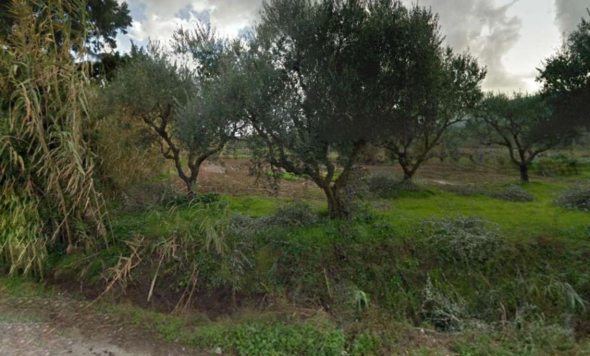 Tierra en Zakynthos, Zakinthos 10087784