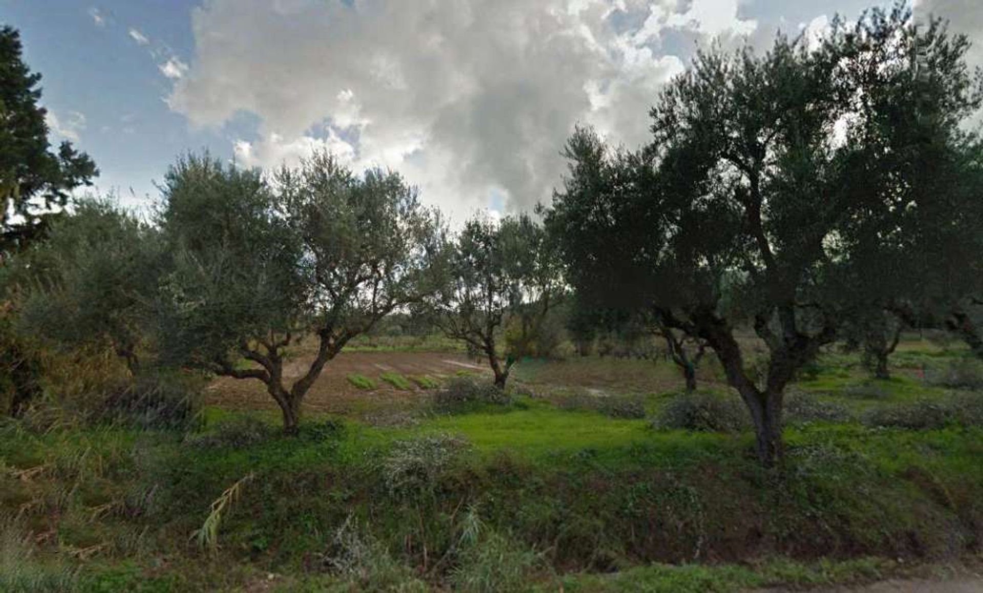 Tierra en Zakynthos, Zakinthos 10087784