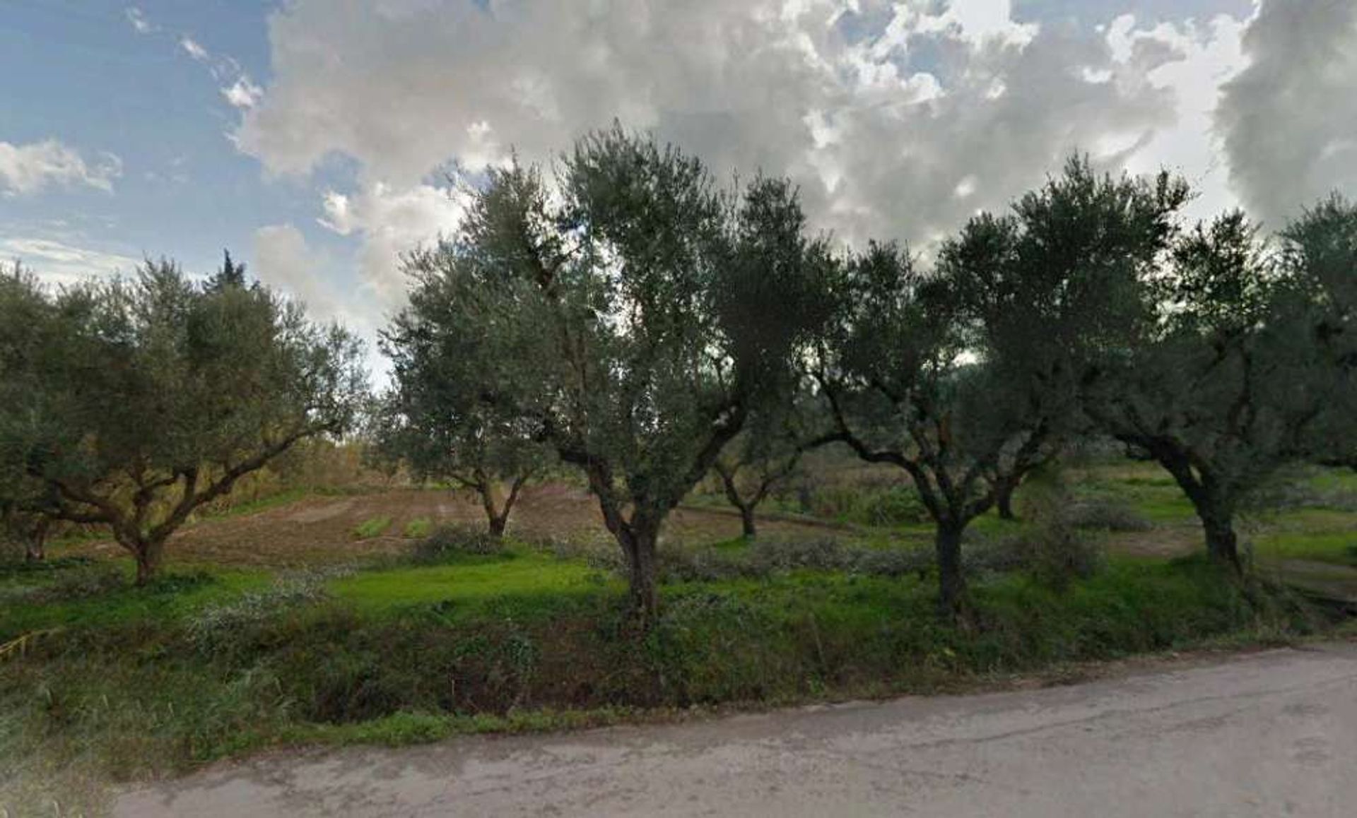 Tierra en Zakynthos, Zakinthos 10087784