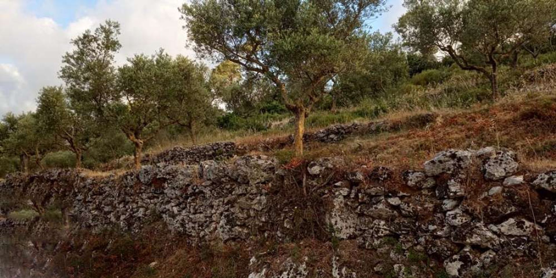 Land in Bochali, Ionië Nisia 10087785