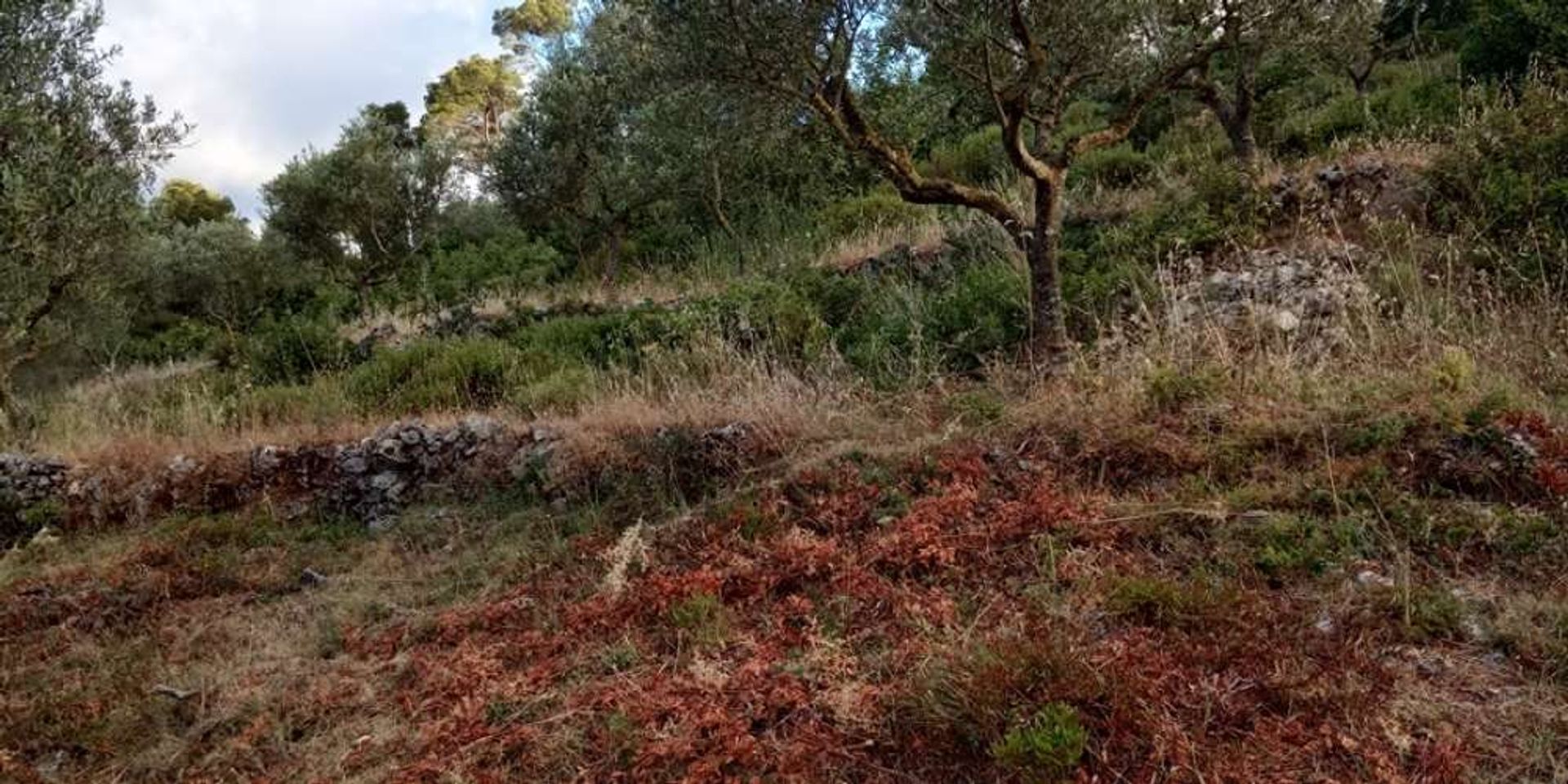 Γη σε Μπόχαλη, Ιωνία Νησιά 10087785