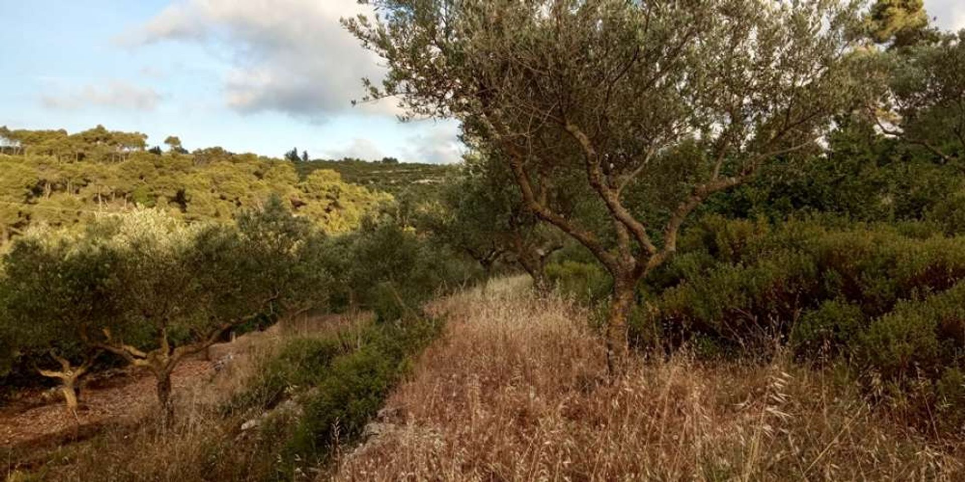 Land in Bochali, Ionië Nisia 10087785