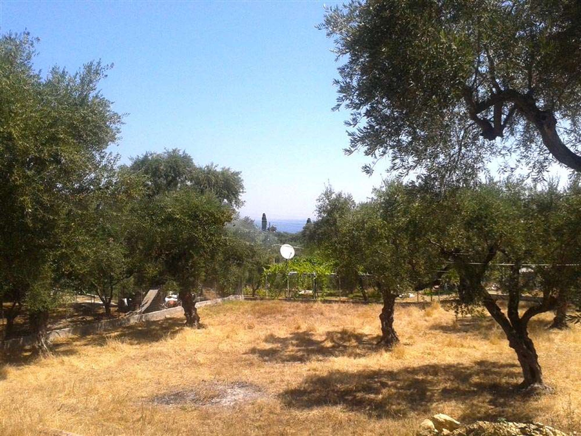 Land in Kalipado, Ionië Nisia 10087789