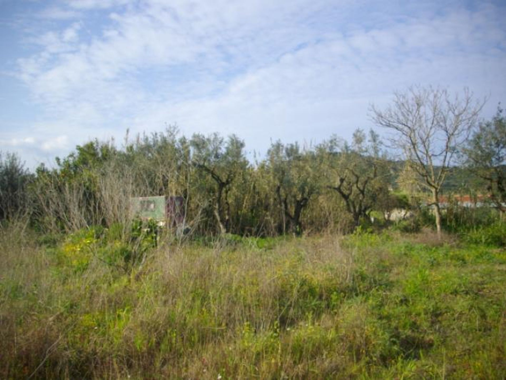 Tierra en bochalí, Jonia Nisia 10087790